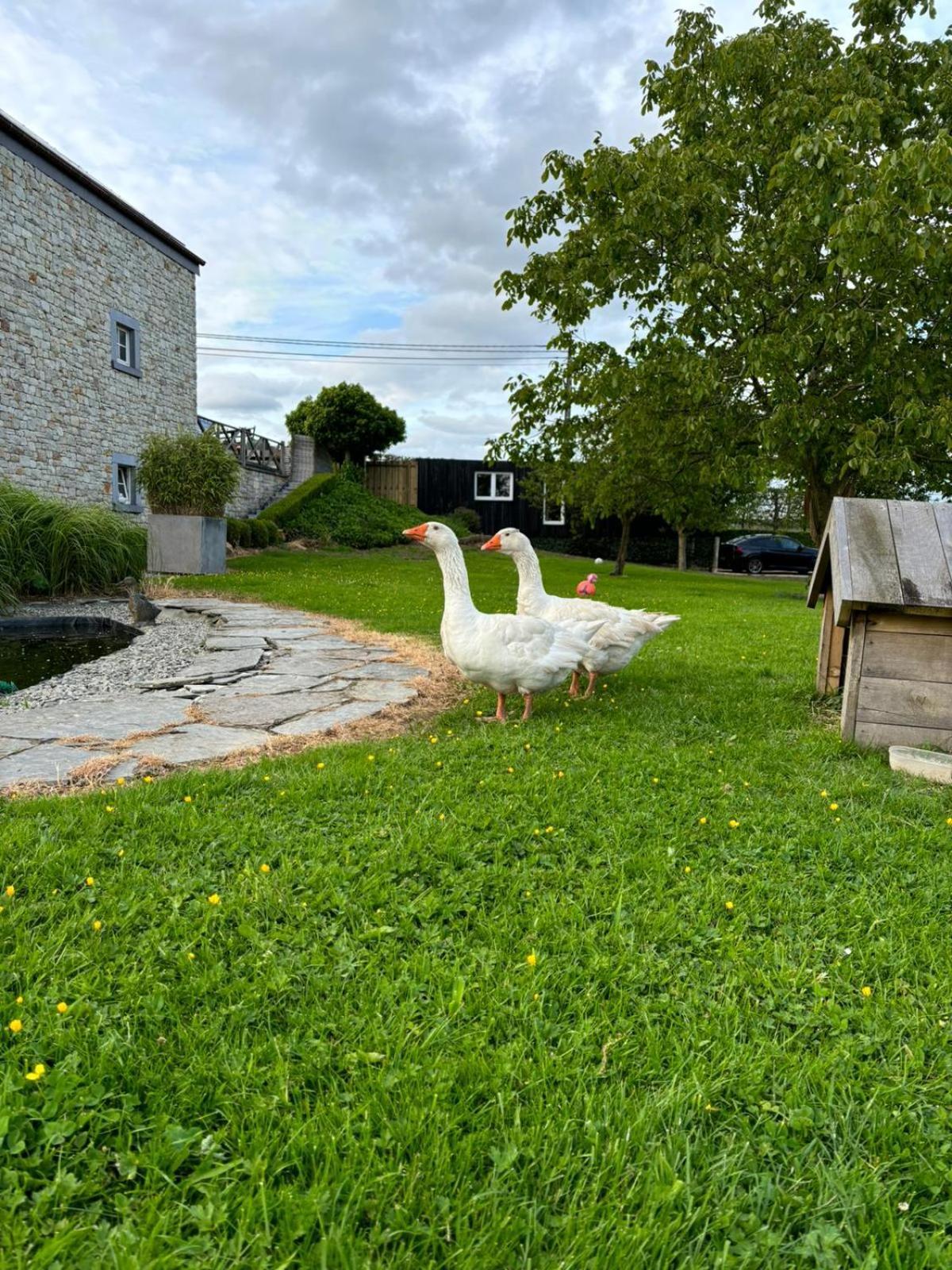 Le Clos Des Bansions Jalhay Extérieur photo